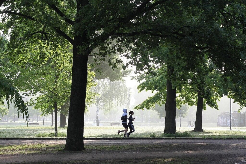Deux personnes courant côte à côte dans un parc arboré au petit matin, scène ordinaire et candide