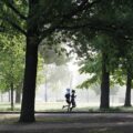Deux personnes courant côte à côte dans un parc arboré au petit matin, scène ordinaire et candide