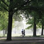 Deux personnes courent côte à côte dans un parc ombragé, tôt le matin