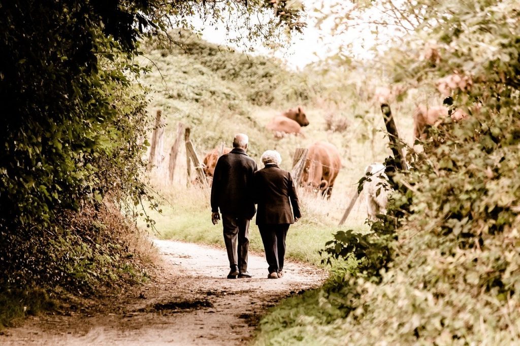 Couple de personnes âgées marchant sur un sentier de campagne en automne, scène naturelle