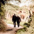 Couple de personnes âgées marchant sur un sentier de campagne en automne, scène naturelle